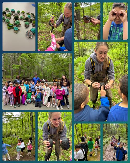 Turtle Release Day